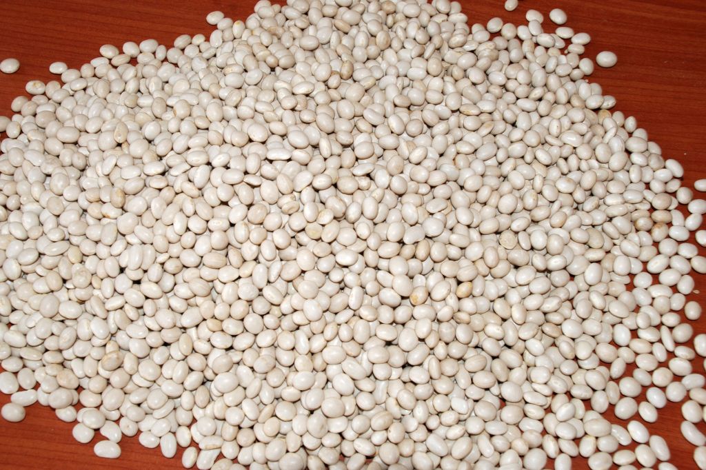 White Kidney Beans