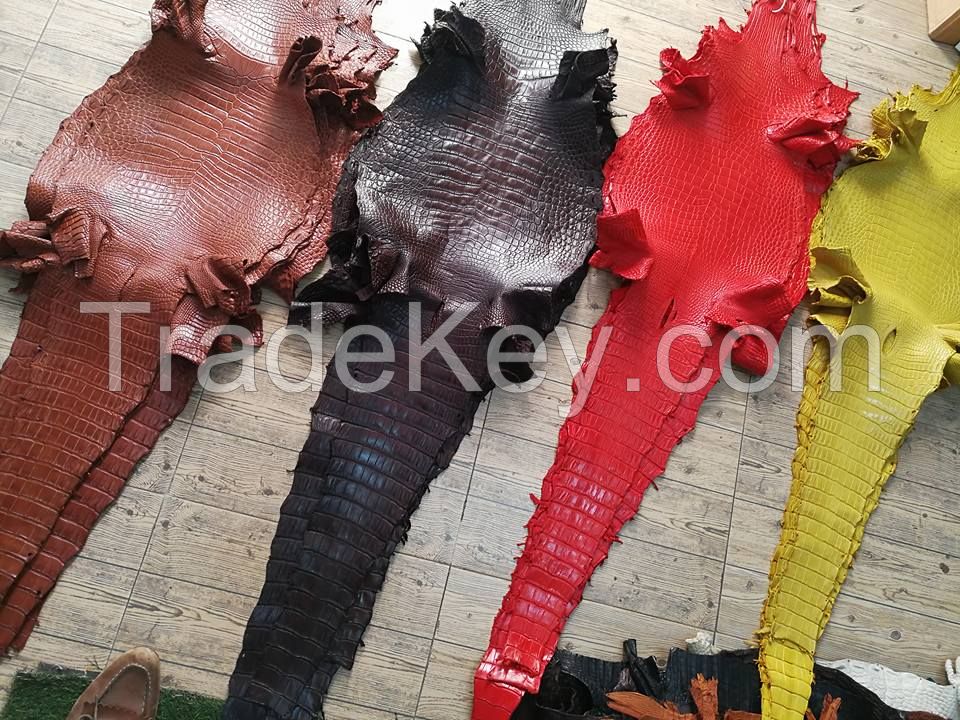 Real crocodile leather skins