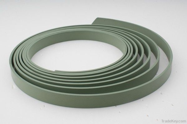 PTFE wear strips, wear ring