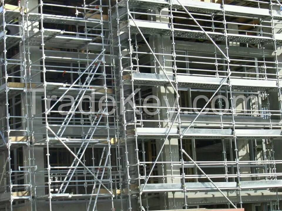 scaffold