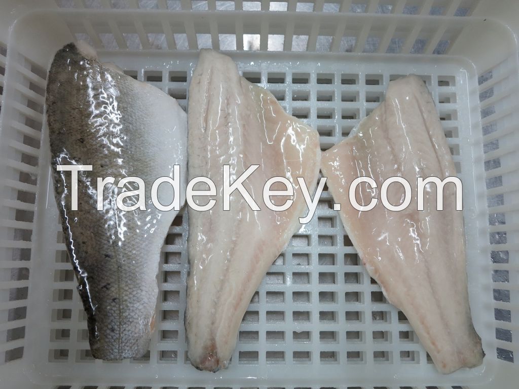 Seafood Seabass Frozen Whole Round Fillet  Seabarsch Lateslabrax Japonicus Free Medical Fresh Processing