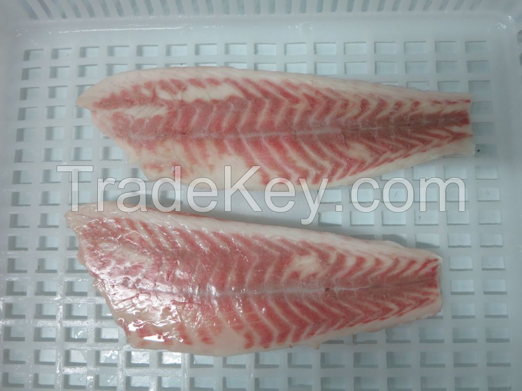 Frozen Barramundi / Asian Seabass /Silver seaparch Fillet (Lates calcarifer) Frozen Farm Raised Seafood