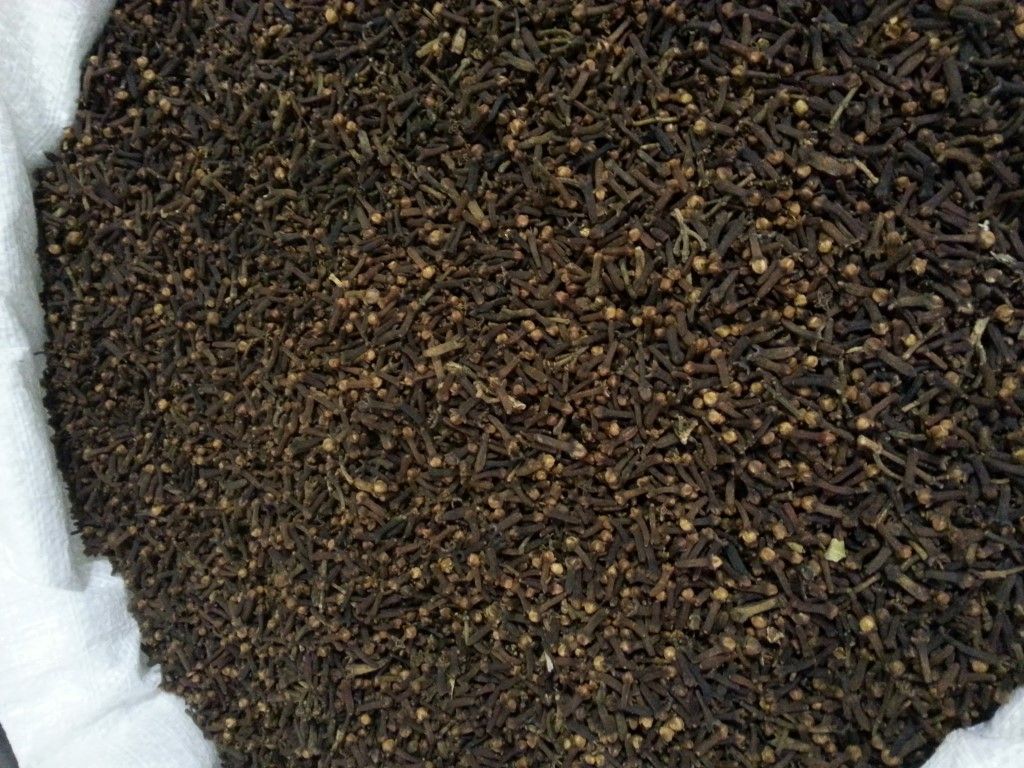 Brazilian Cloves