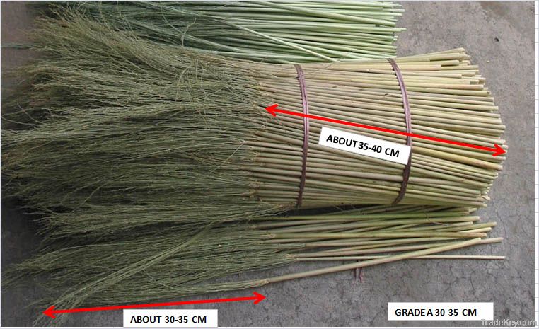 Sorghum Raw Broom Material