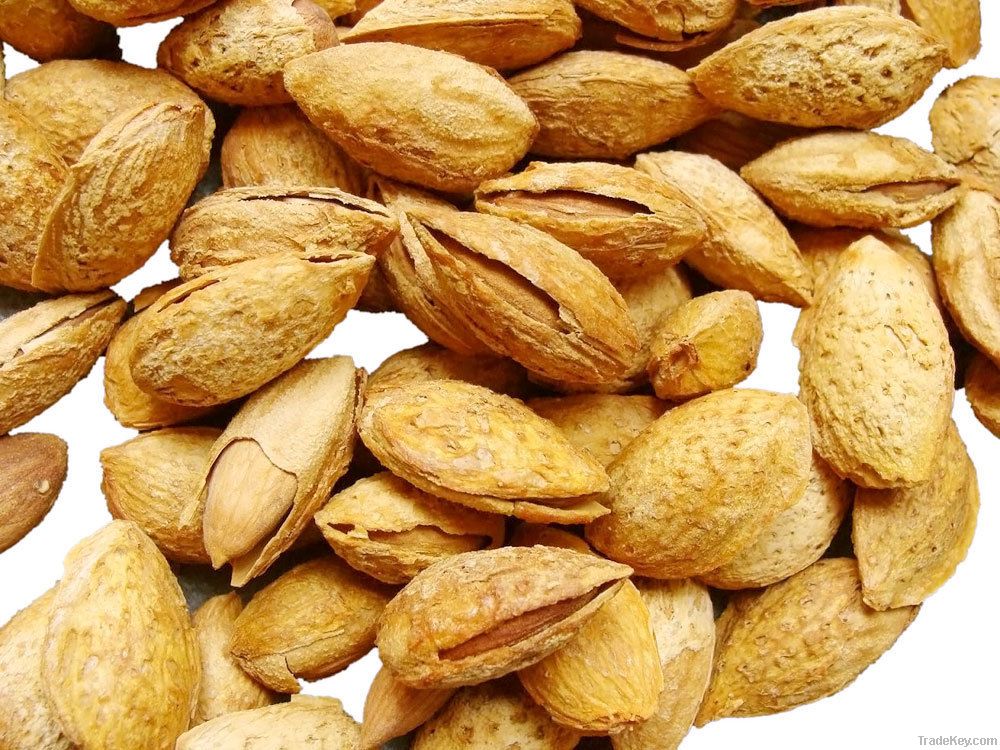 Almond badam