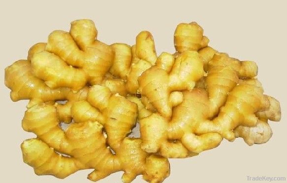 DRIED YELLOW GINGER