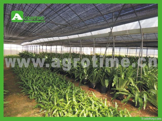 commercial greenhouse for agriculture