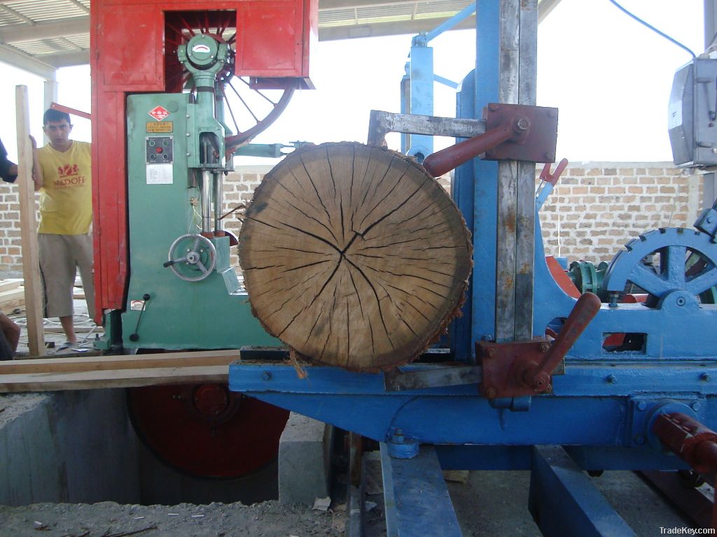 vertical band saw with platform