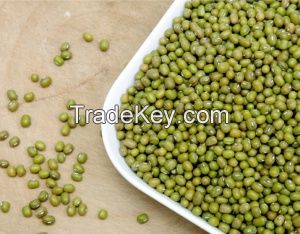 Top Quality Fresh,Frozen And Dried Green Mung Beans