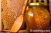 Honey & Honey Products