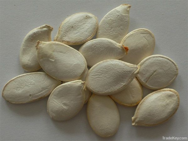 Pumpkin Seed Kernels- Shine skin or Snow white type.