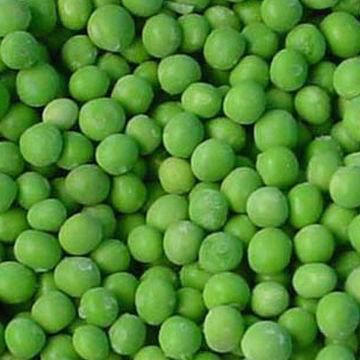IQF Frozen Green Peas