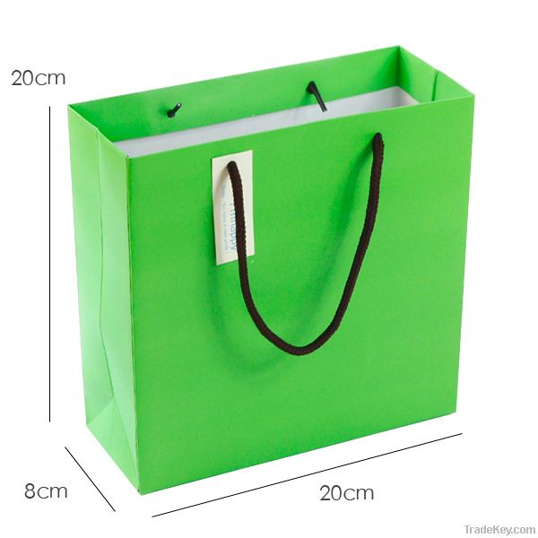 New Fashion Paper Shopping Bag