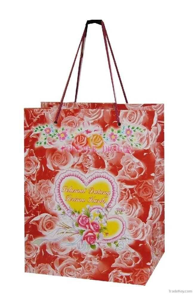 New Fashion Paper Shopping Bag