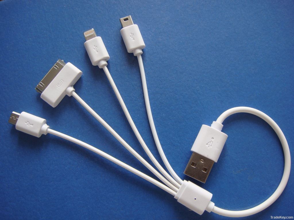 4-in-1 Multifunction Cable for iPhone 5, 4S/iPad Mini/Galaxy i9100/i93