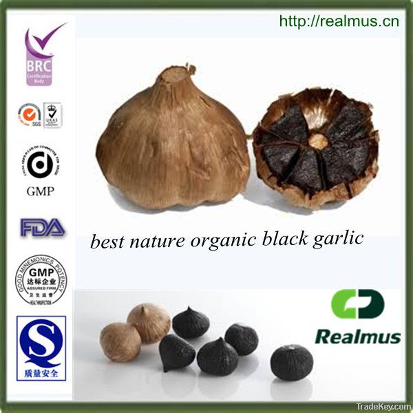 new health care food of black garlic