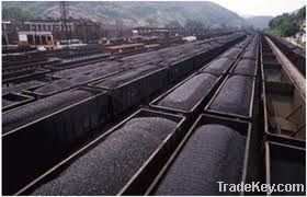 Steam coal