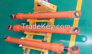 Hydraulic Cylinders for CASE Excavator