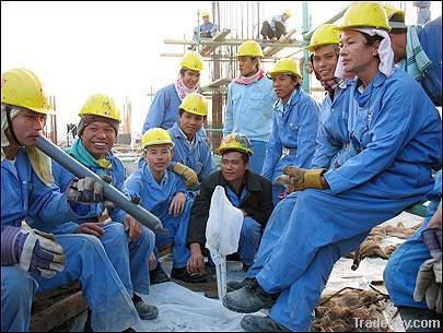 Vietnam Manpower Supplier- Your partner for success!