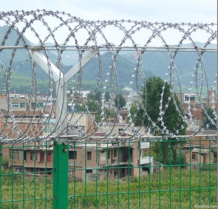 Razor Wire Mesh