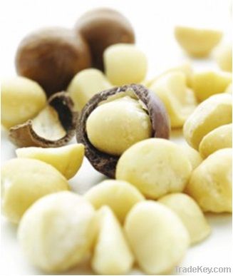 macadamia nut