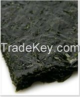 Great Quality Korean Nori (Laver) Great price