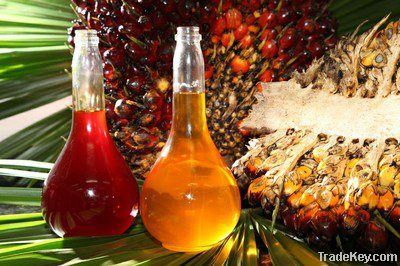 CRUDE PALM OIL