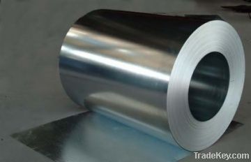 Hot Dipped Galvanzied Steel Coil