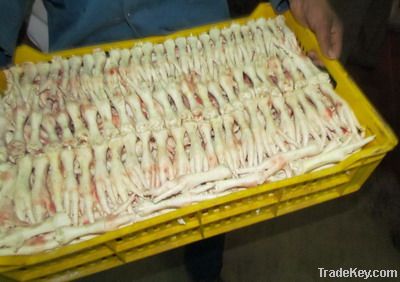 Chicken feet procesed grade A