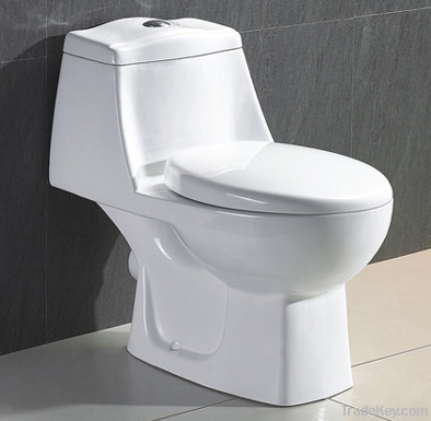 One-Piece Toilet