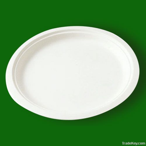10 inch plate