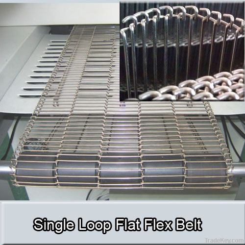SS304 single loop Flat Flex conveyor belt