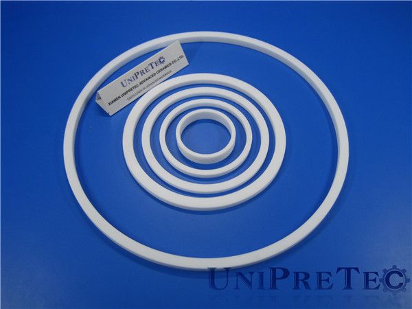 Wear Resistant Ceramic Sealing Rings