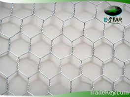 Electro galvanized hexagonal wire mesh with very competitive price