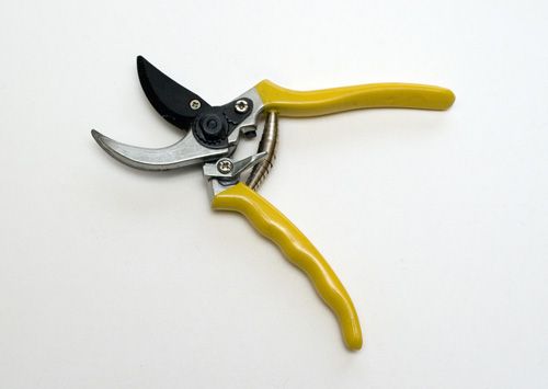 Garden Secateurs