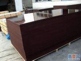 Black/Brownfilm Faced Waterproof Shutter Concrete Form Plywood