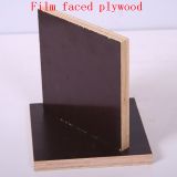 Film Faced Plywood 16mm