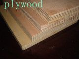 Plywood Wall Panel / Container Plywood (1220*2440)