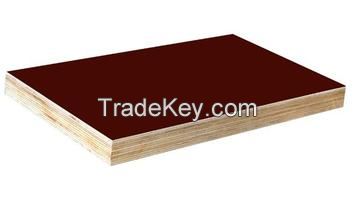 6.5mm popar Commercial Plywood Sheets/Bintangor Veneer Fancy plywood