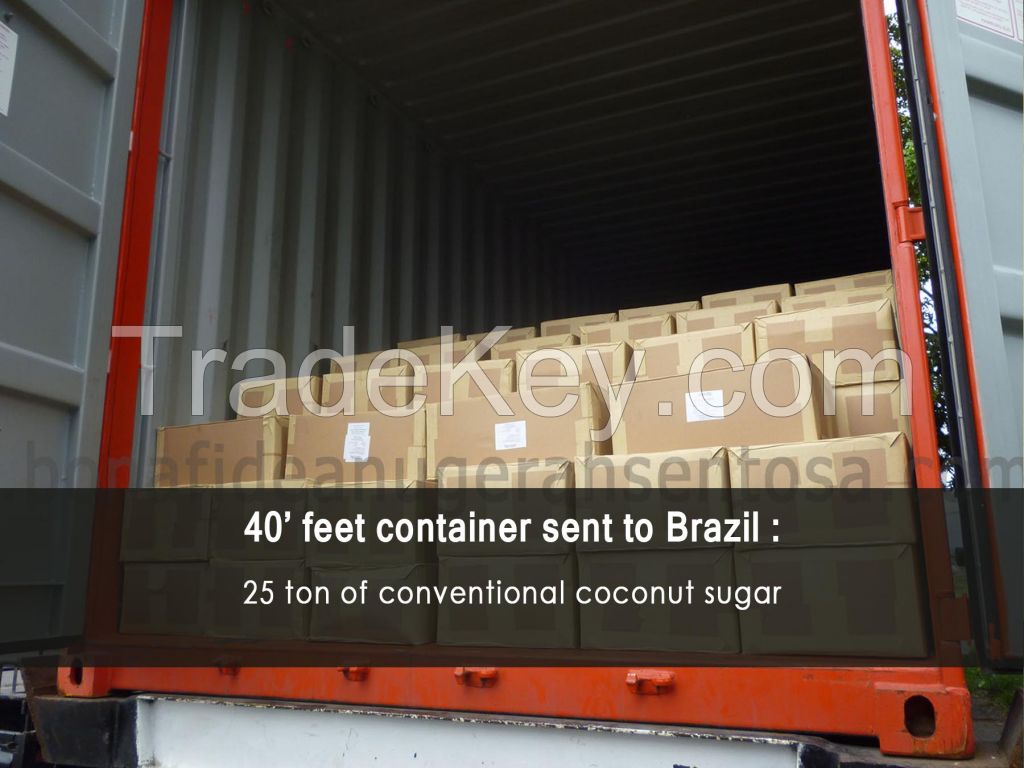 Coconut  palm sugar as cane sugar substitute