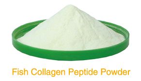 Marine fish collagen powder