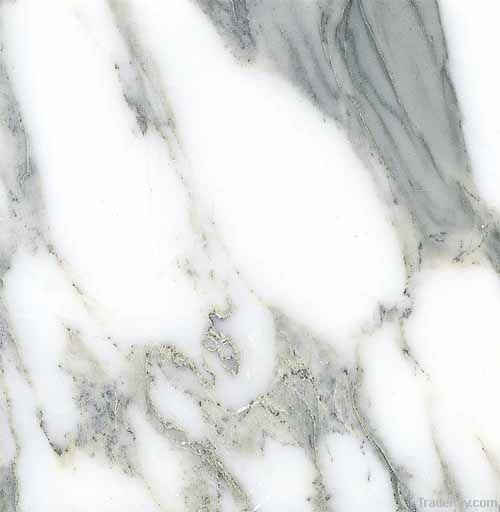 Arabescato Corchia Marble