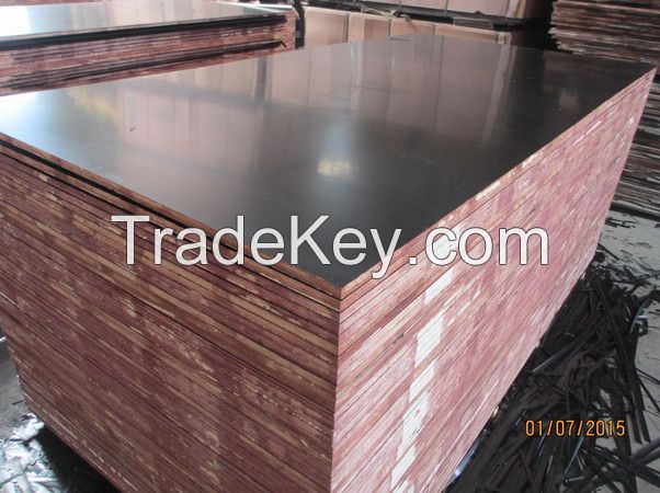 Film Faced Plywood/Commercial Plywood/Construction Plywood