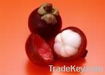 Mangosteen