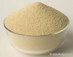 soybean meal animal feed