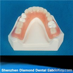 2013 Dental valpast partial and full denture