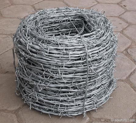 razor  barbed  wire mesh