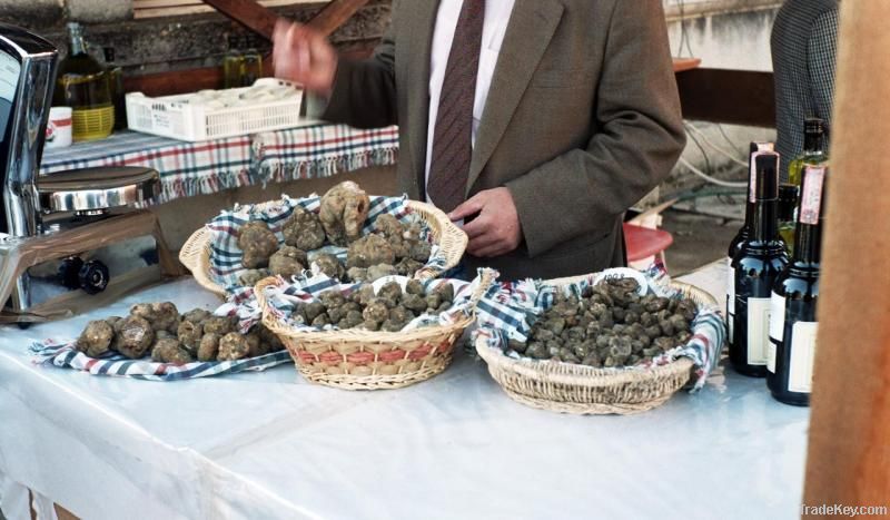 Fresh Istrian black truffles