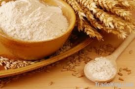 All pourpose Wheat Flour