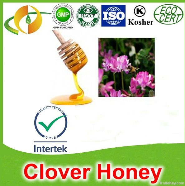 Natural pure bee honey